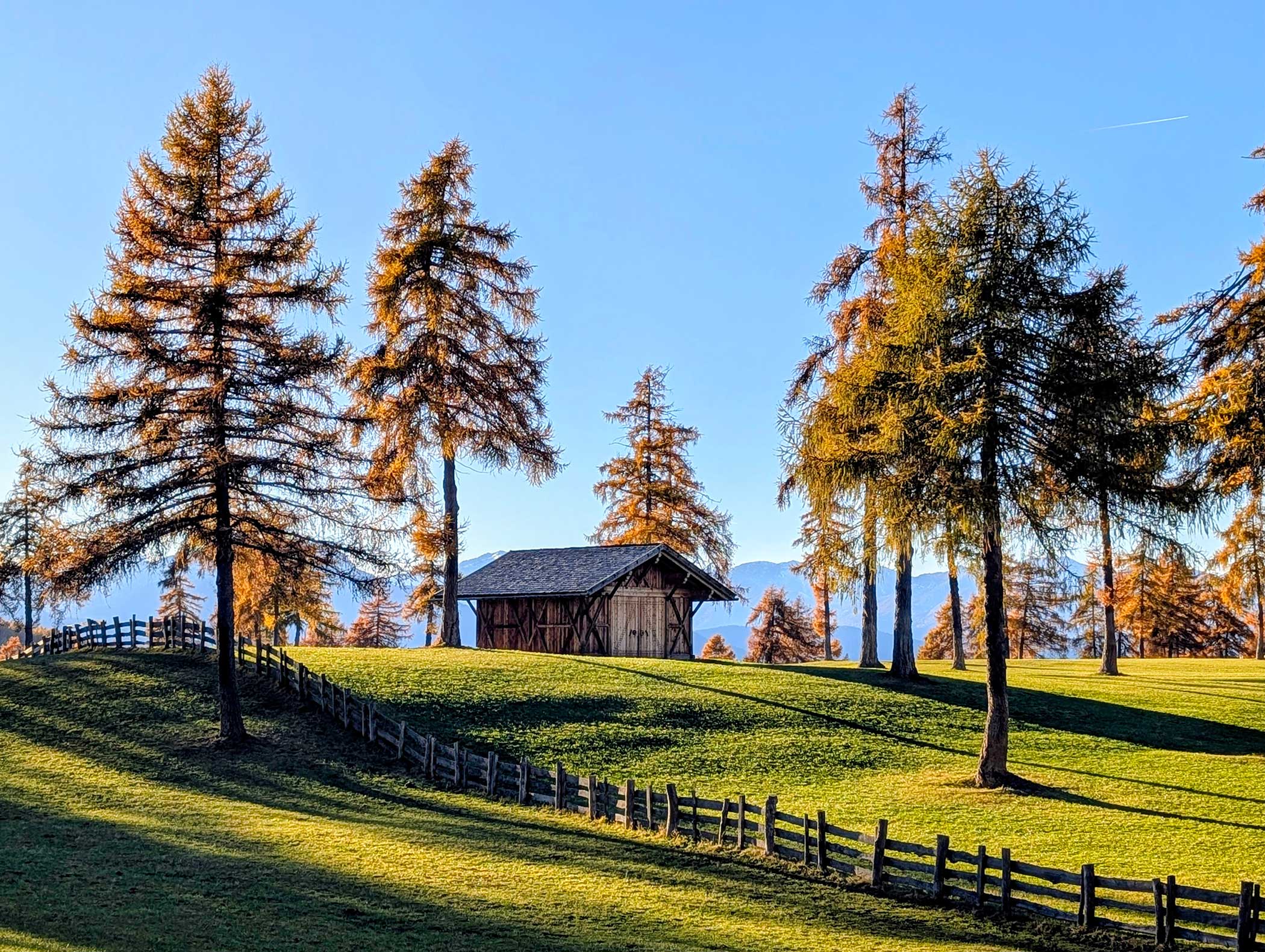 Eine Holzhütte steht auf einem grasbewachsenen Hügel, umgeben von Bäumen und einem Holzzaun, unter einem strahlend blauen Himmel. - Langfennhof