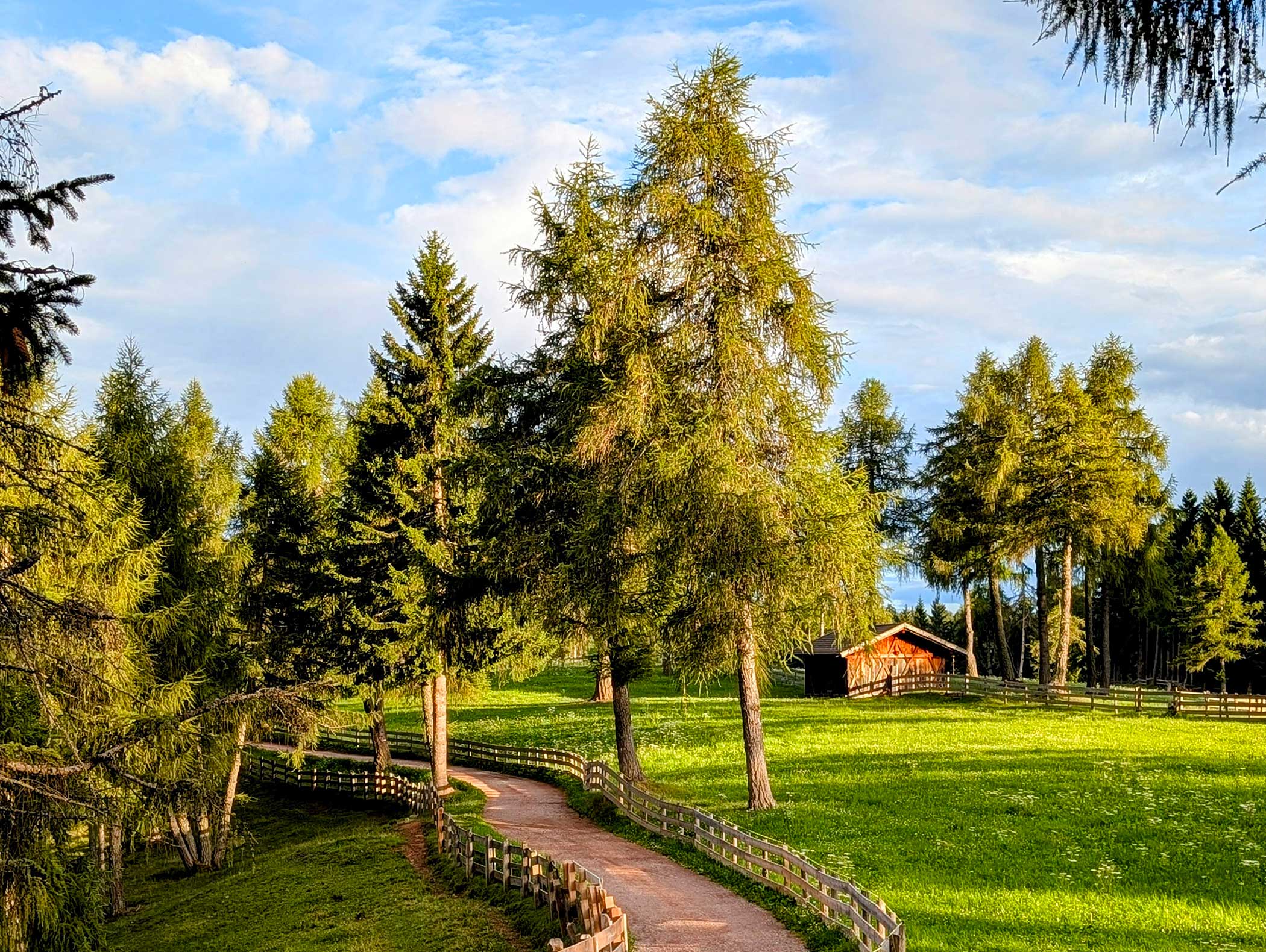Ein gewundener Pfad führt durch eine grüne Wiese mit Bäumen und einer kleinen Holzhütte unter blauem Himmel. - Langfennhof