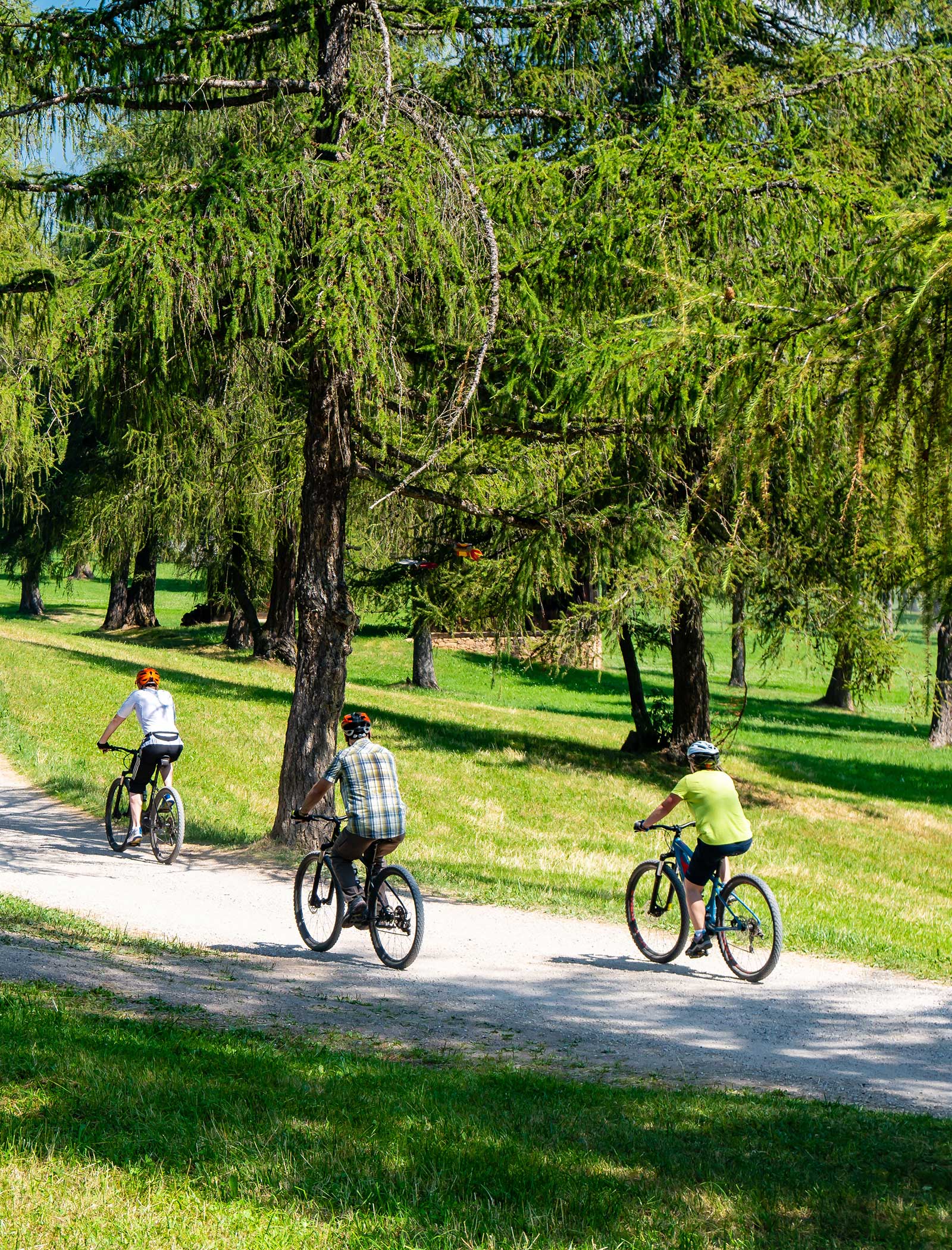 Drei Personen fahren mit dem Fahrrad auf einem sonnigen Weg durch einen grünen Park mit hohen Bäumen. - Langfennhof